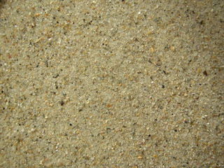 Playa de bascuas